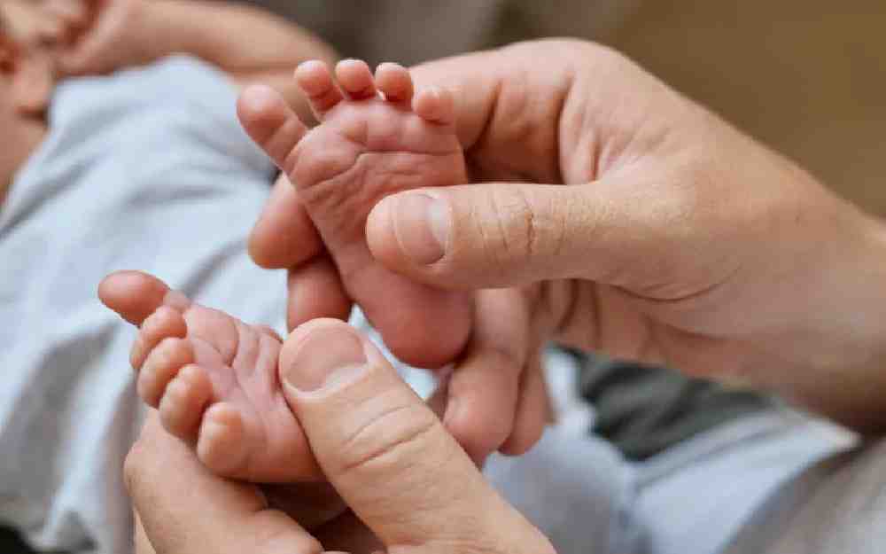 عدد الوفيات في فرنسا